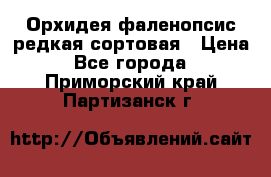 Орхидея фаленопсис редкая сортовая › Цена ­ 800 - Все города  »    . Приморский край,Партизанск г.